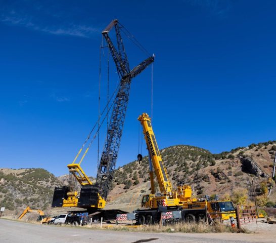 crane