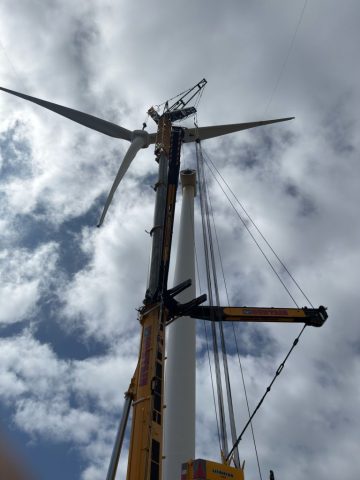 crane